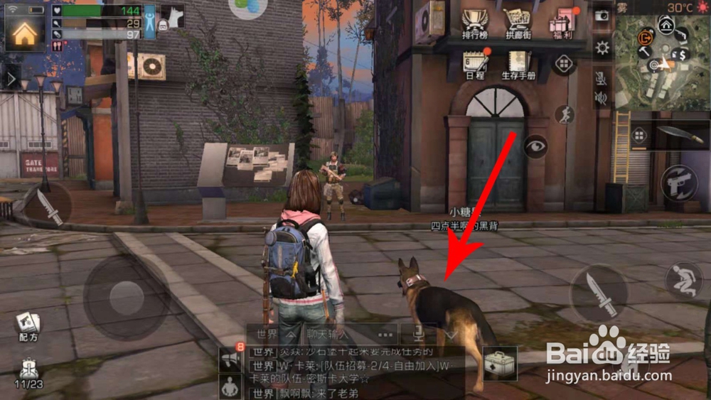 明日之后怎么召唤狗