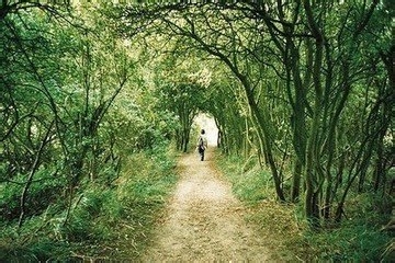 心理变态是怎样练就的