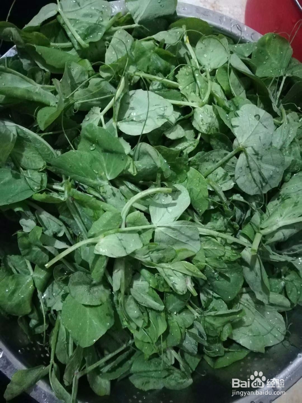 龙须苗怎么煮才鲜嫩好吃