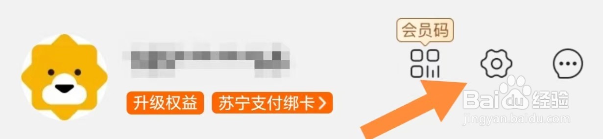 苏宁易购如何查看支付设置