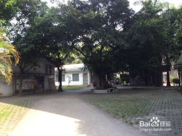 南华工商学院黄埔校区校园图片全攻略