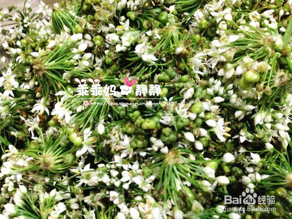 【乖乖妈厨房】自制下饭小菜--韭菜花