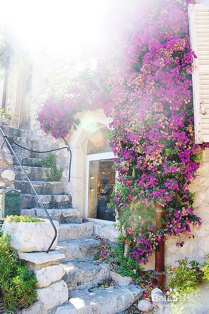 ps中如何利用钢笔抠图超细教程