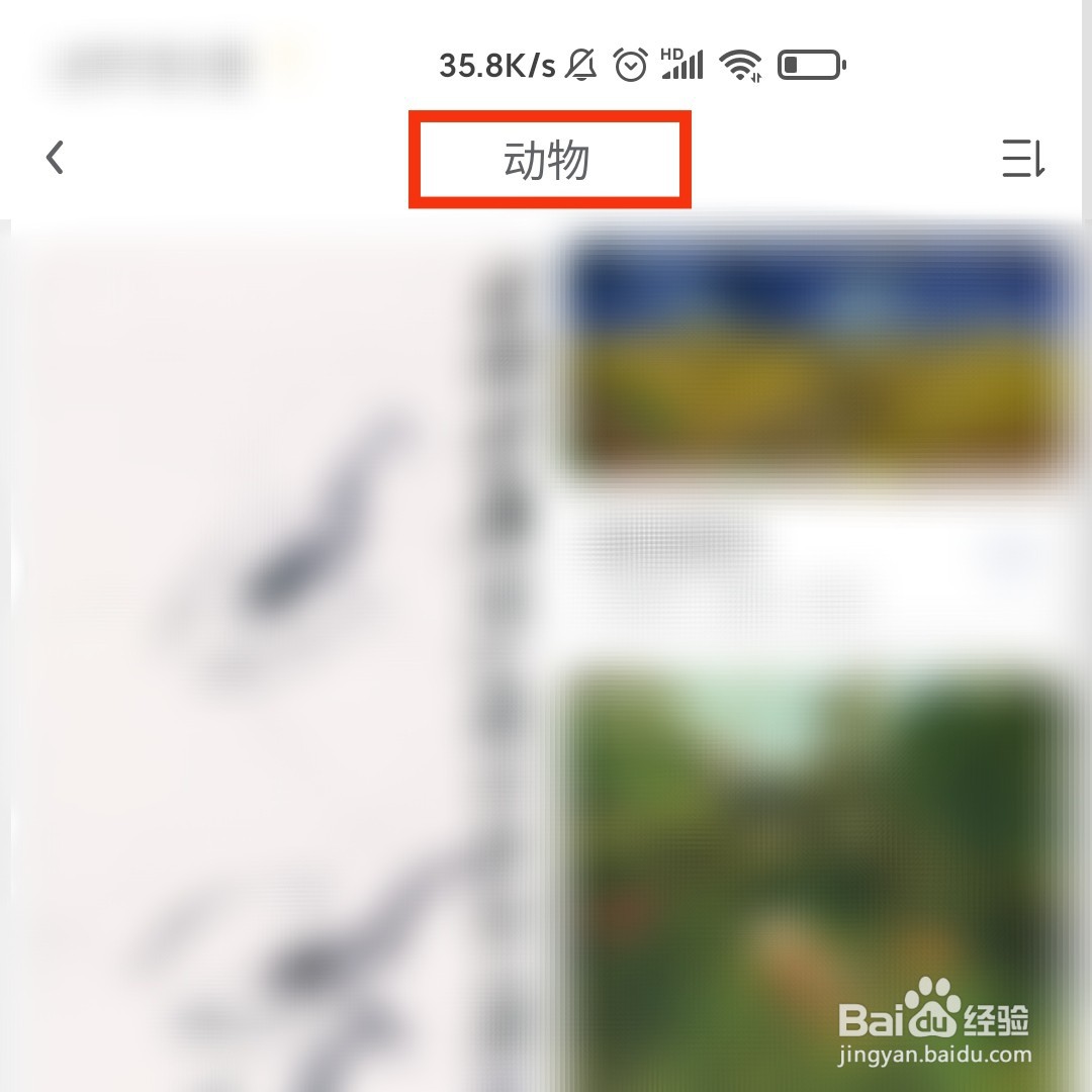 世界名画集APP的动物篇在哪进入
