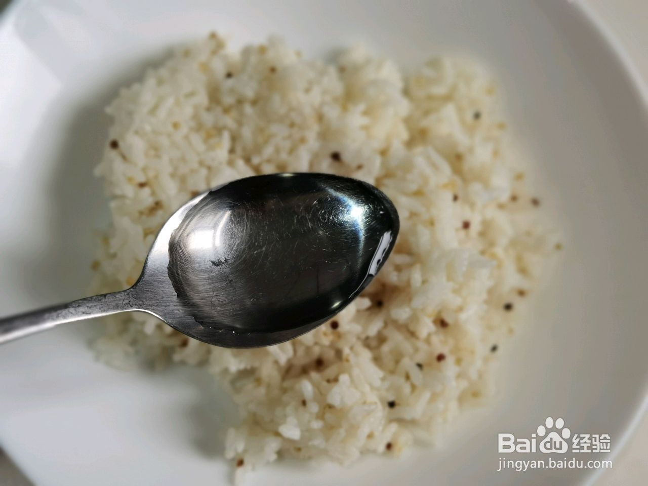 日式金枪鱼饭团