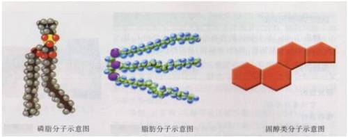 预防精神病的方法