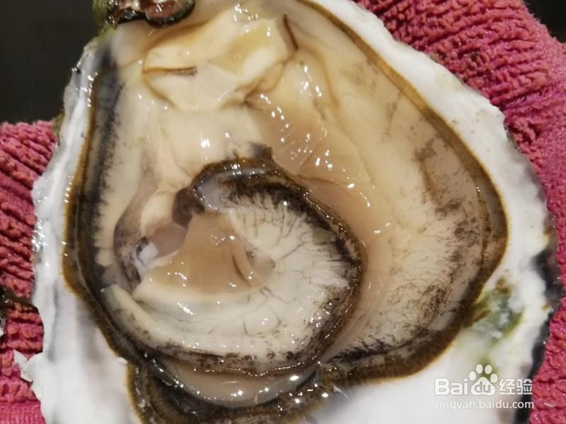 金银蒜烤生蚝的做法