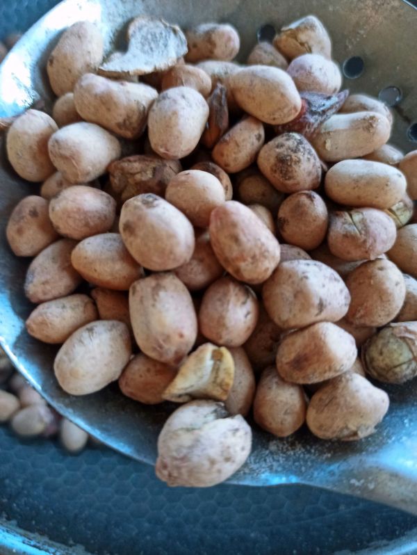 盐焗五香花生米