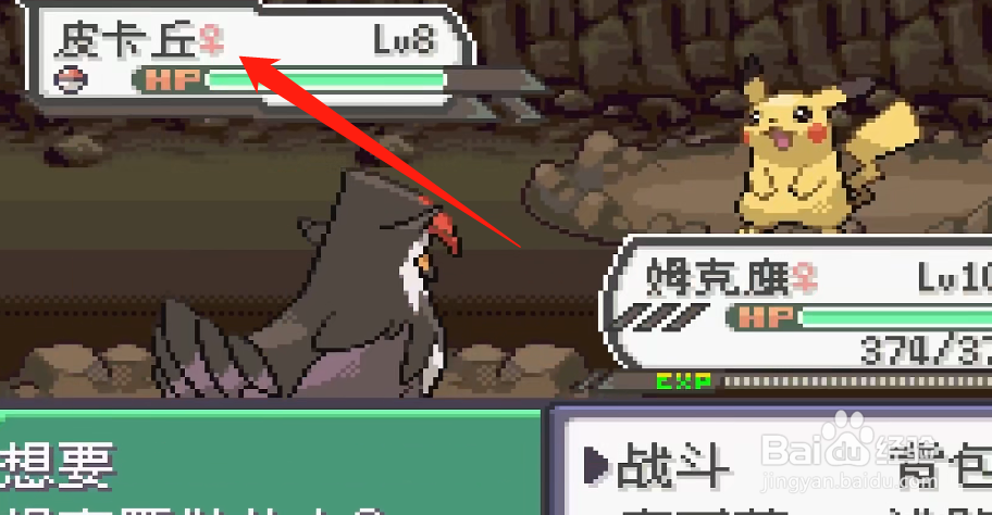 口袋妖怪究极绿宝石V皮卡丘在哪捕捉