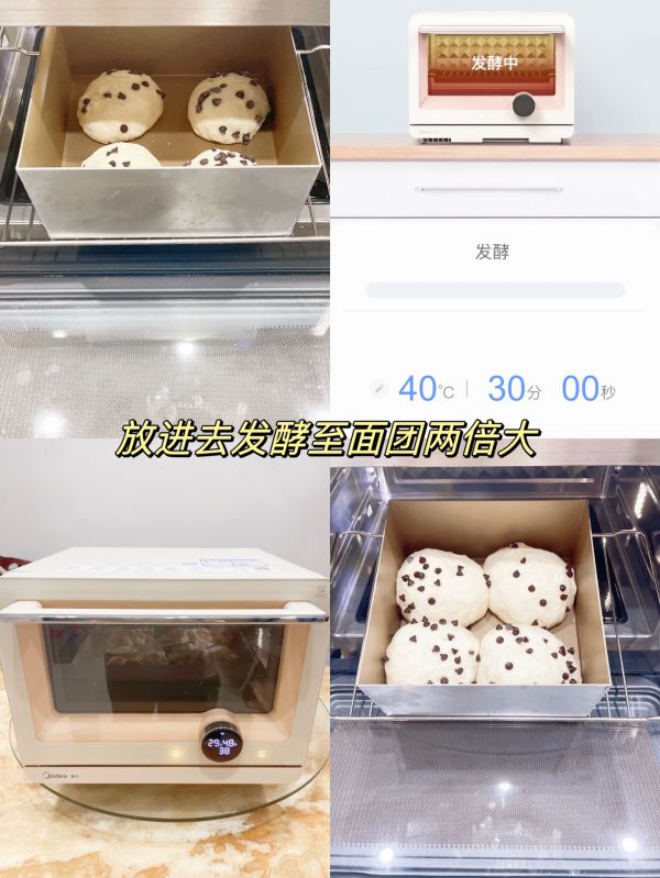 牛奶巧克力豆小面包