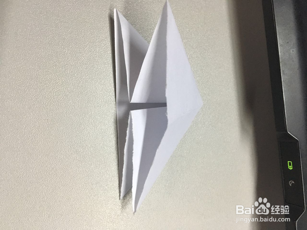 小萌物－－兔兔