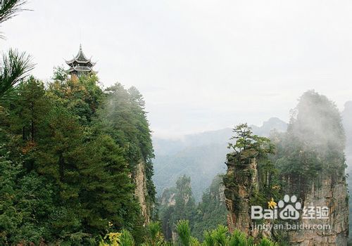 成都到张家界攻略