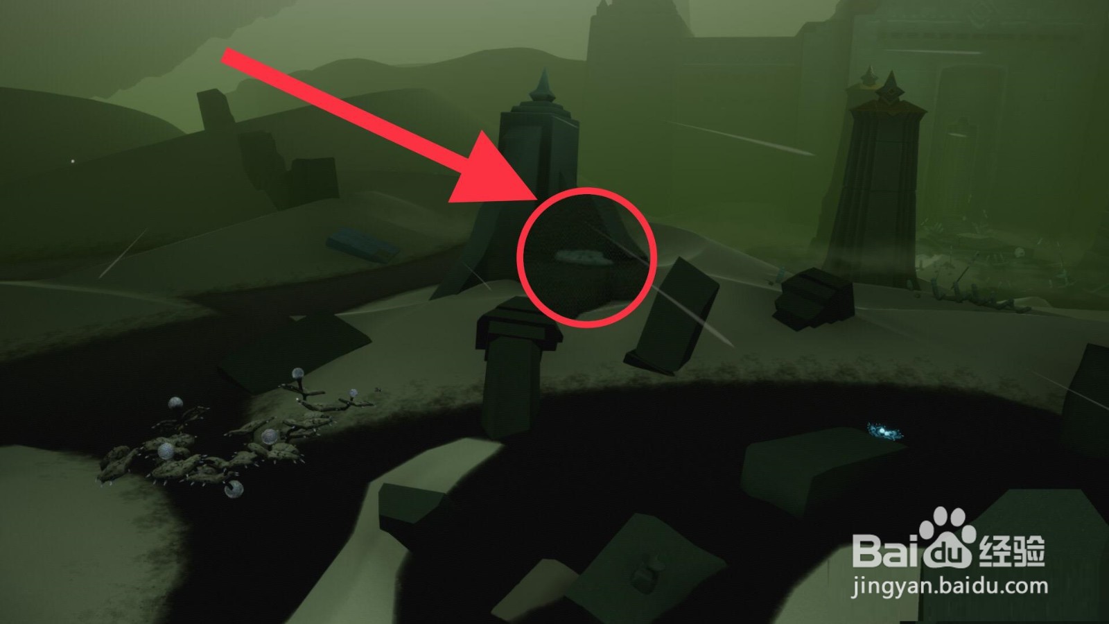 光遇2022年3月2日每日任务怎么做