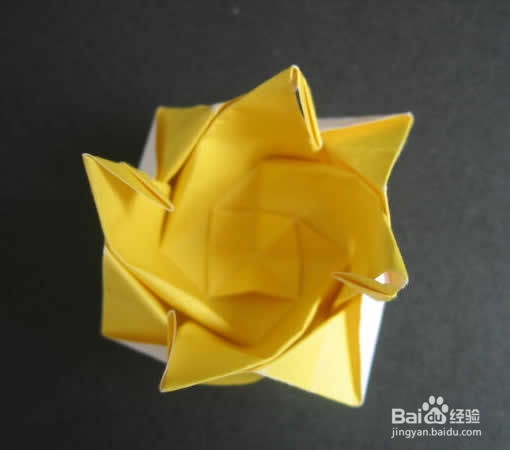 图解《越狱》中纸玫瑰的折法