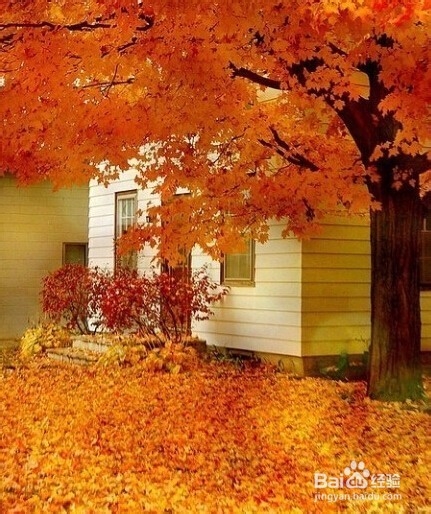 英格兰，秋天最美旅游地。