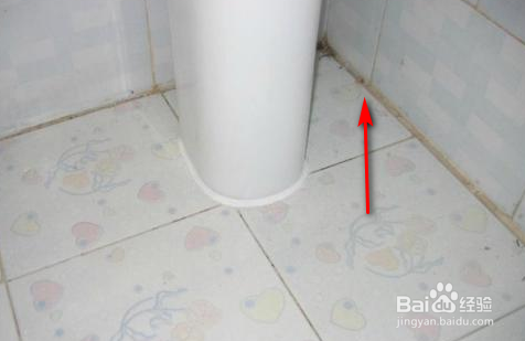 家里有蠼螋怎么消灭