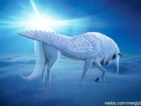 成长in华南师范大学之辅修、保研、考研篇