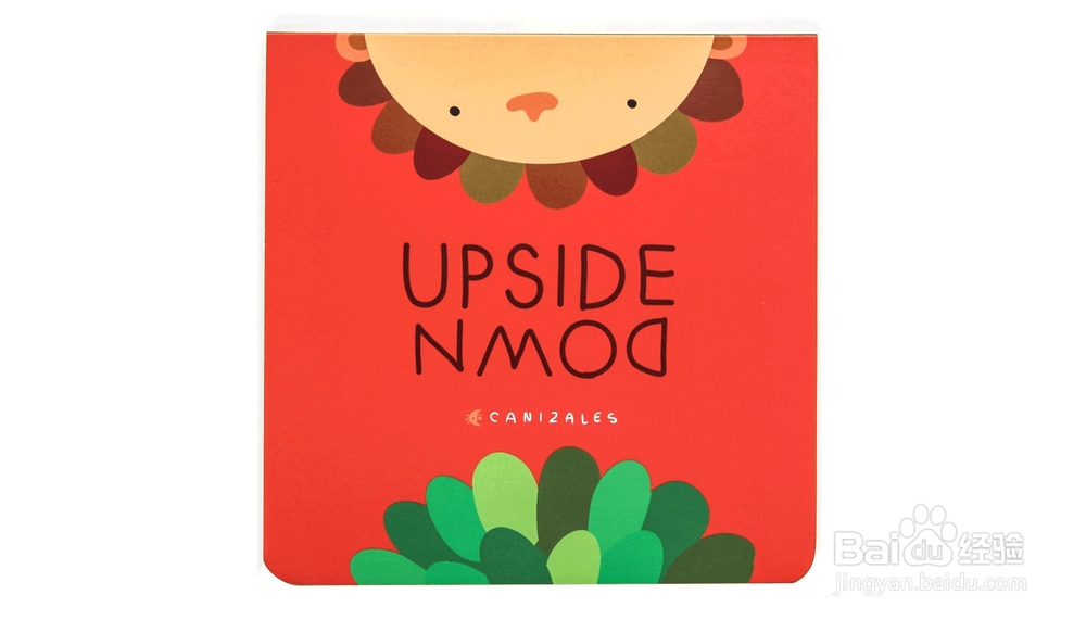 TA-DA, the Magic Box ! 嗒哒,魔盒!