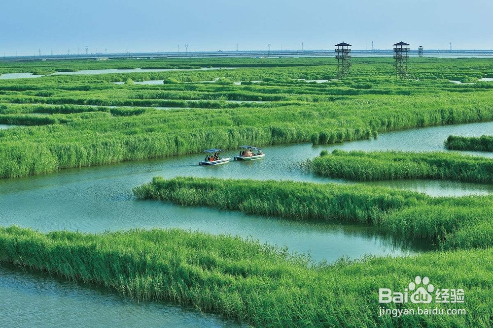 高邮湖芦苇荡湿地旅游攻略(精华版)