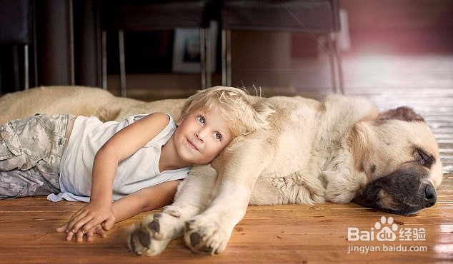 宠物狗与孩子亲密合影，真的是很温馨快乐！