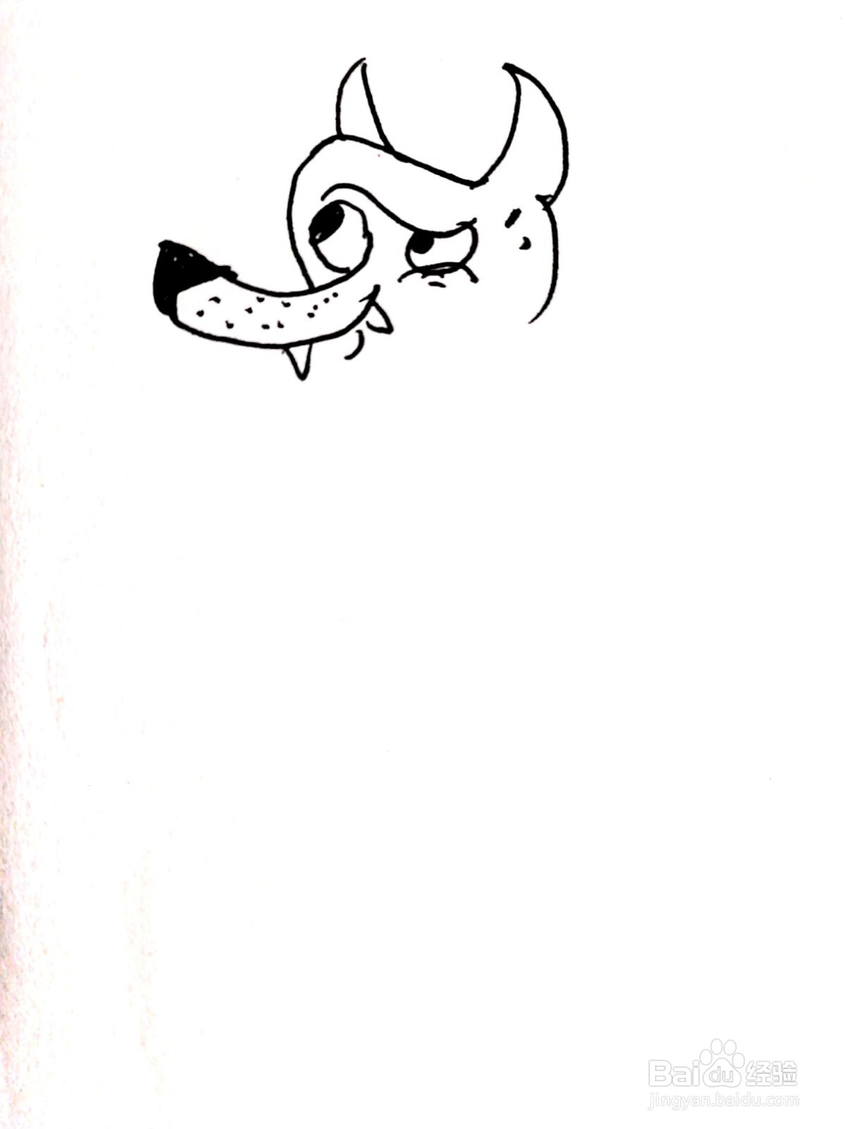 长着大鼻子的狼线描画怎么画