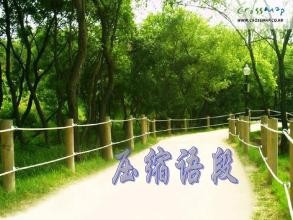 压缩语段的方法技巧