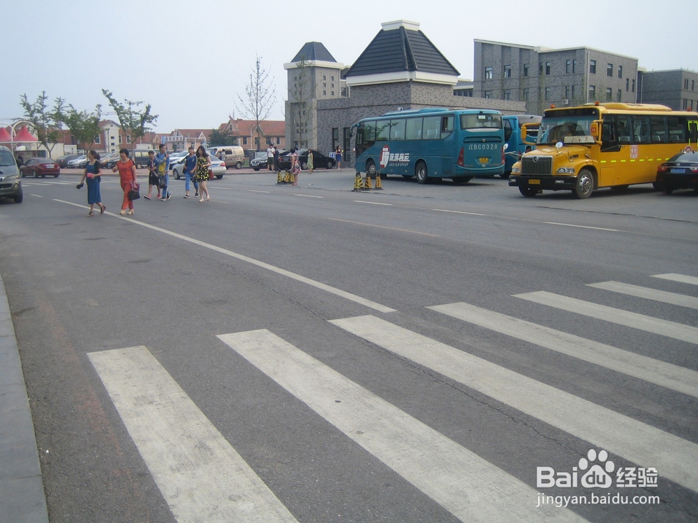 怎样告诉孩子安全过马路--56