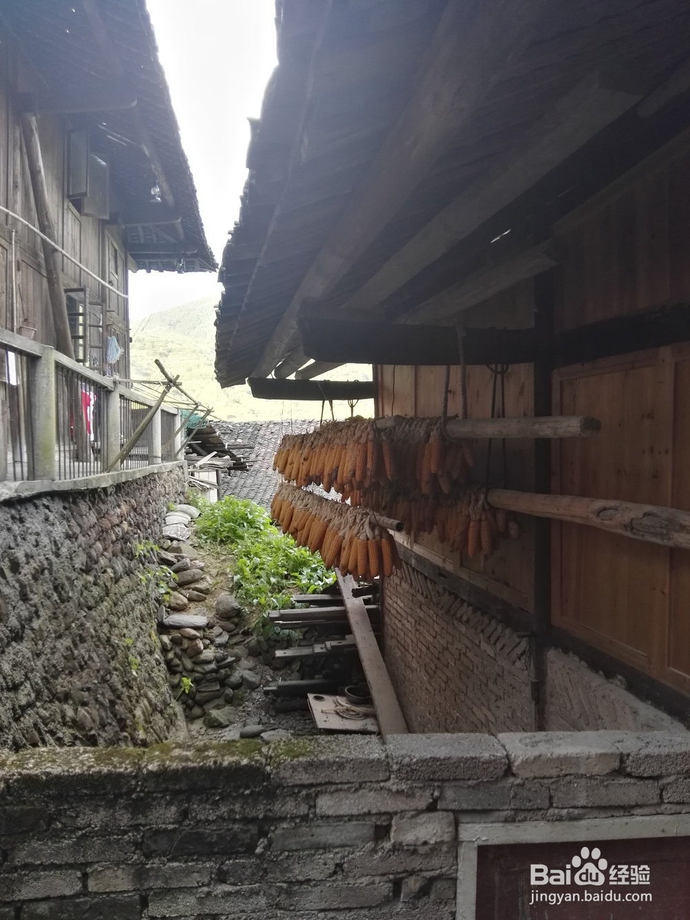 从长沙到贵阳、荔波，西江千户苗寨之旅