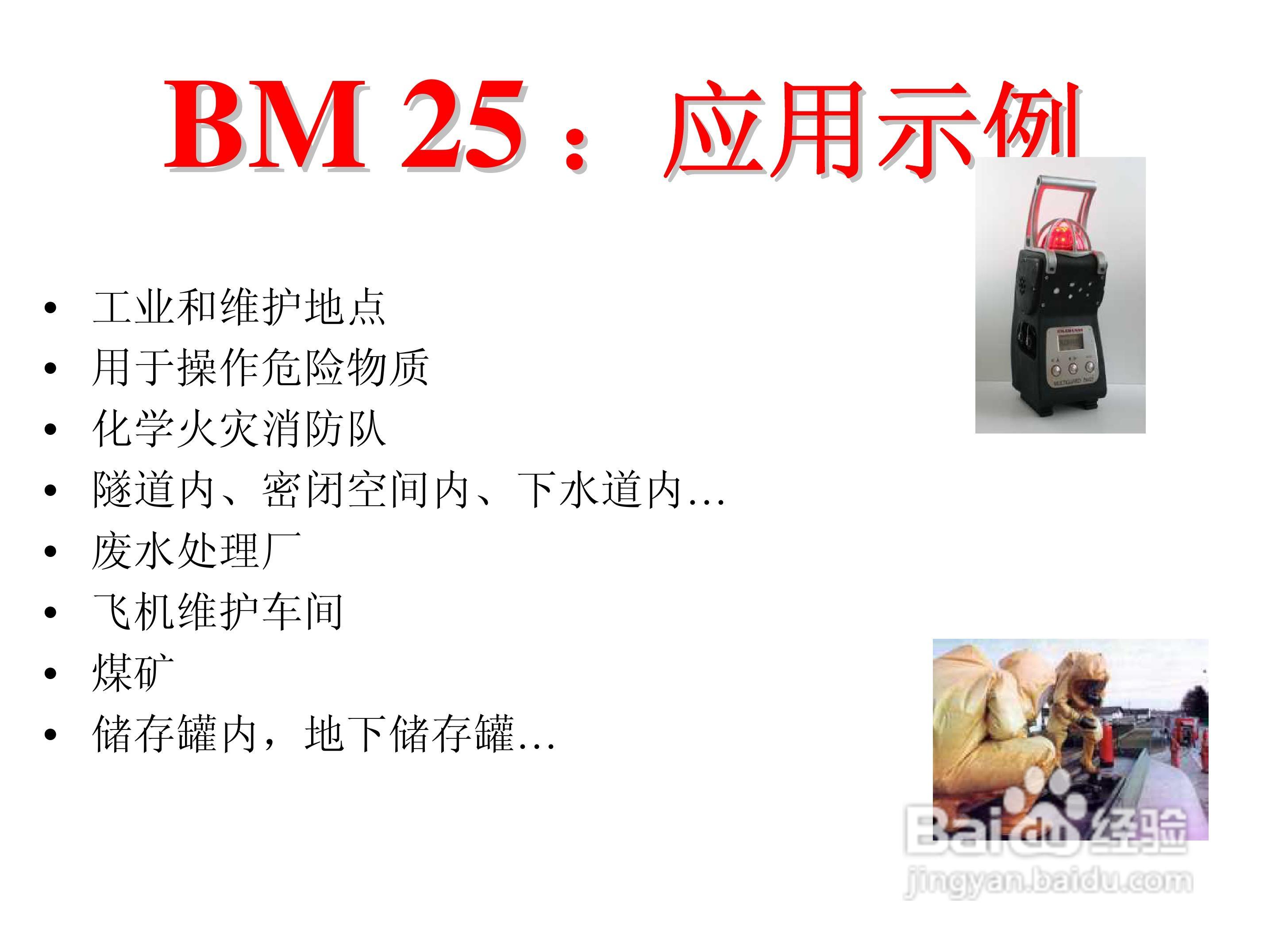 BM25便携式独立多气体检测仪说明书:[4]