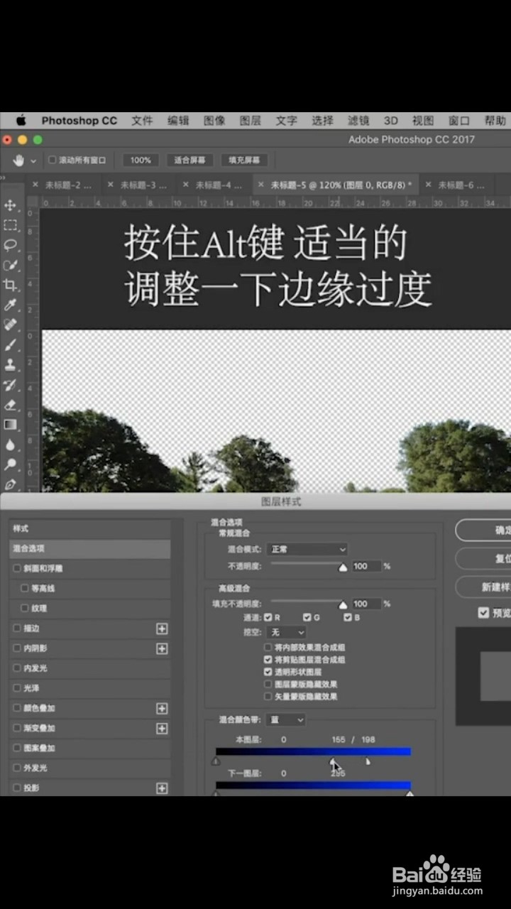如何抠取复杂树林下的天空