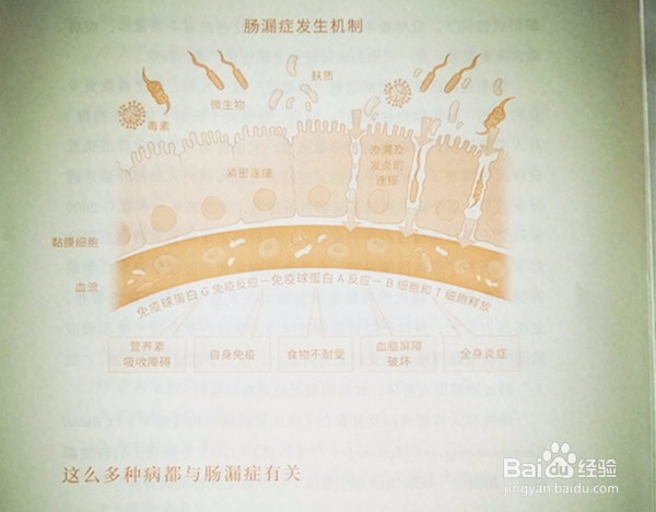 血糖高如何控制