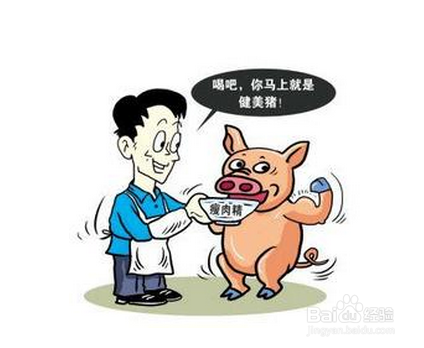 如何选健康猪肉