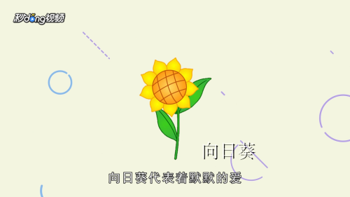 父亲节送什么花