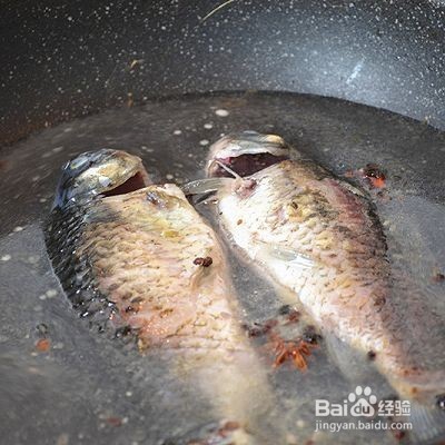 秋季养生汤——鲫鱼豆腐汤的做法