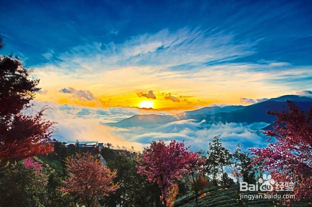 大理本地旅游老鸟，带你解锁不一样的大理！