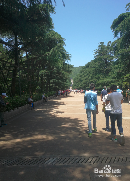 南京中山陵旅游攻略(半天)