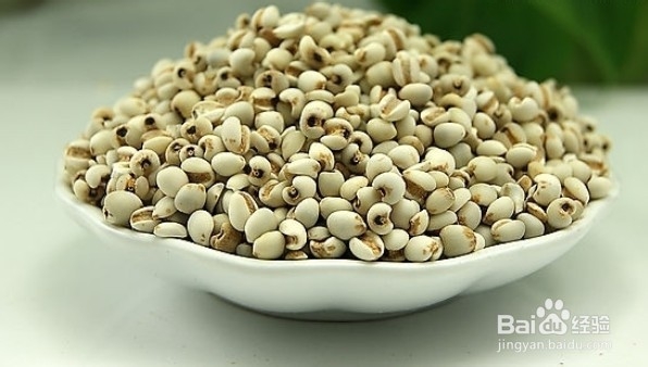 怎么判断薏米新不新鲜/薏米怎么挑选
