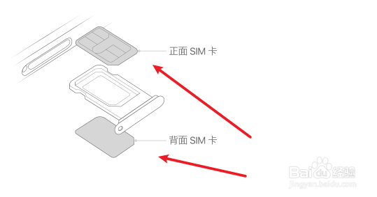 iphone12怎么放两个卡