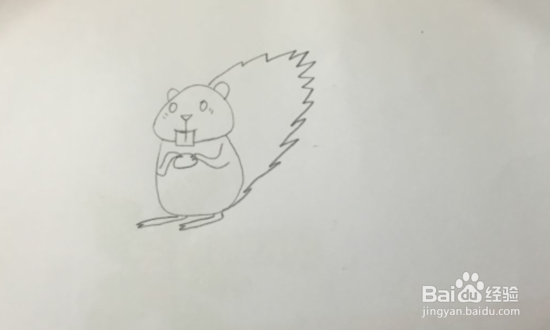 如何画贪吃可爱的小松鼠