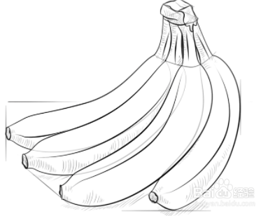 如何绘制香蕉