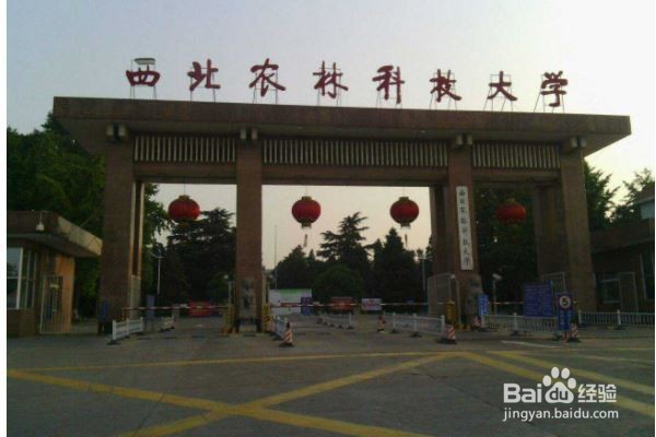 怎么当大学老师
