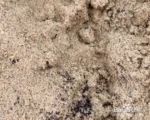 入口即化的黑芝麻乌发丸