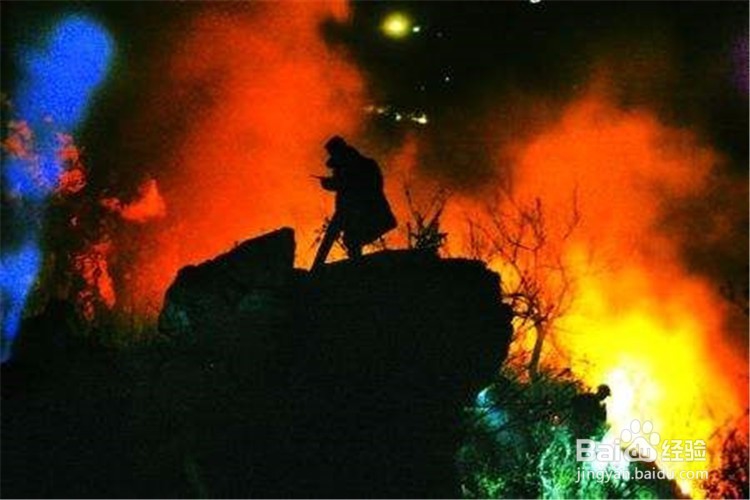 遇森林火灾如何逃生