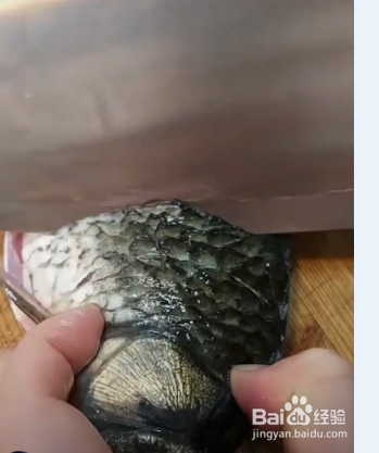 鲫鱼这样吃更美味