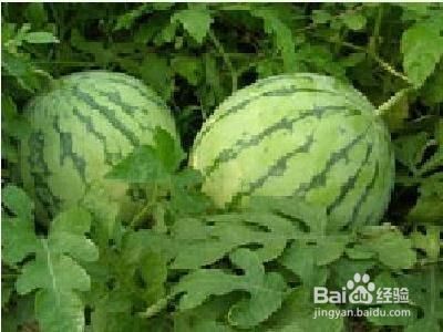 10大最常吃水果竟然堪比砒霜