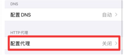 iPhone手机如何关闭网络代理