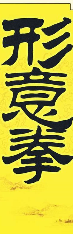 拳无拳.意无意.是什么意思