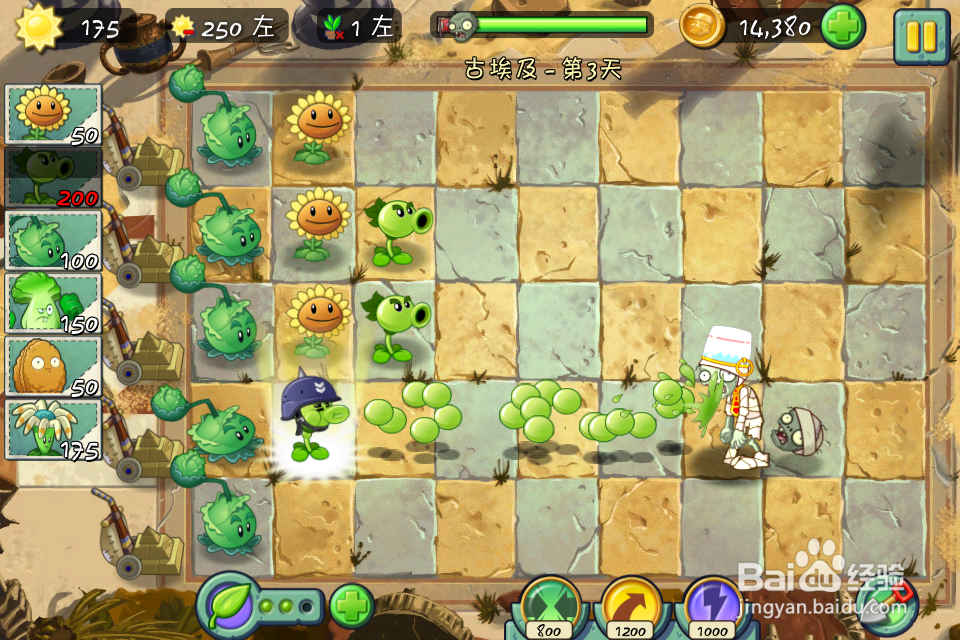 植物大战僵尸2古埃及第三天三星经验及攻略