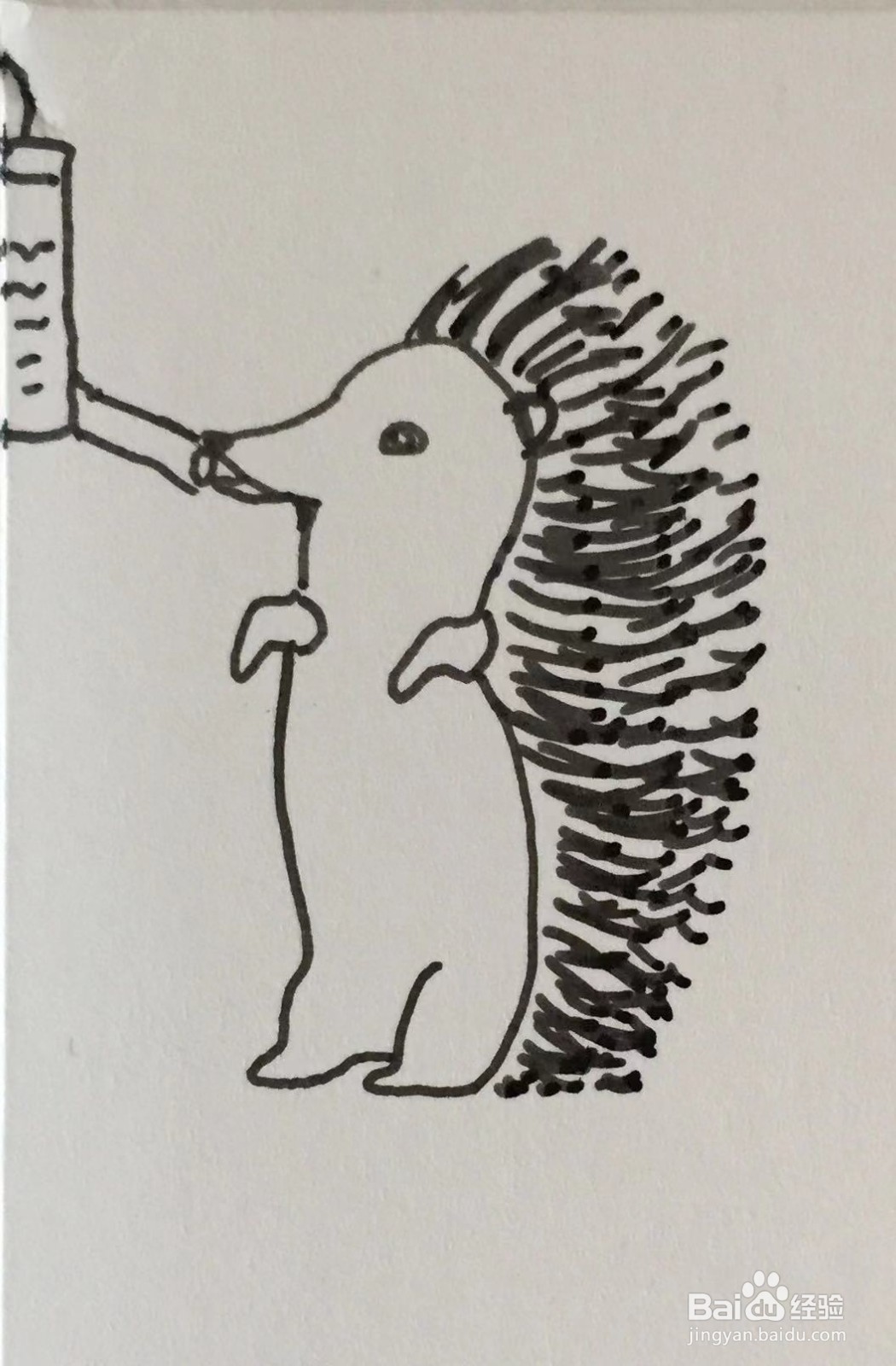 插画教程之迷你刺猬