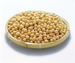 如何开一家豆腐坊